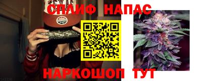 прущие грибы Ливны