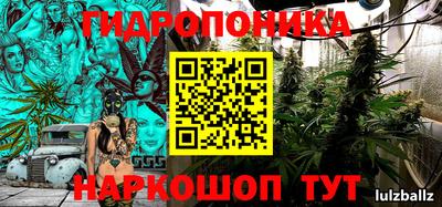 сатива Лесосибирск